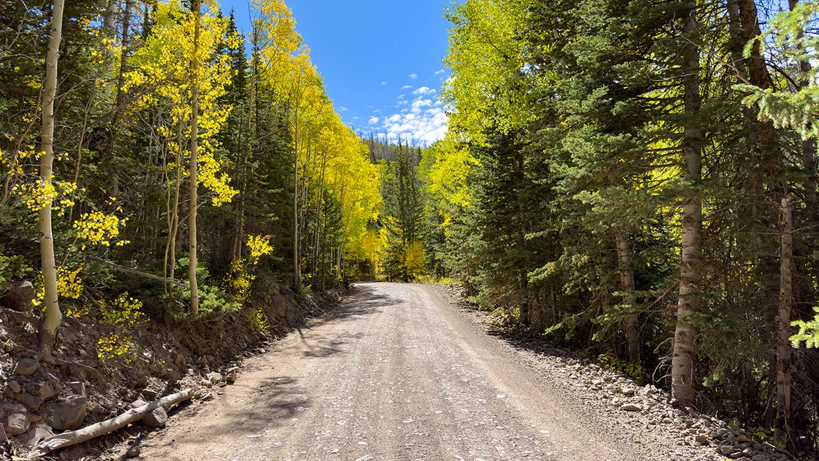 US Forest Service adds new fee-free day for National Trails Day