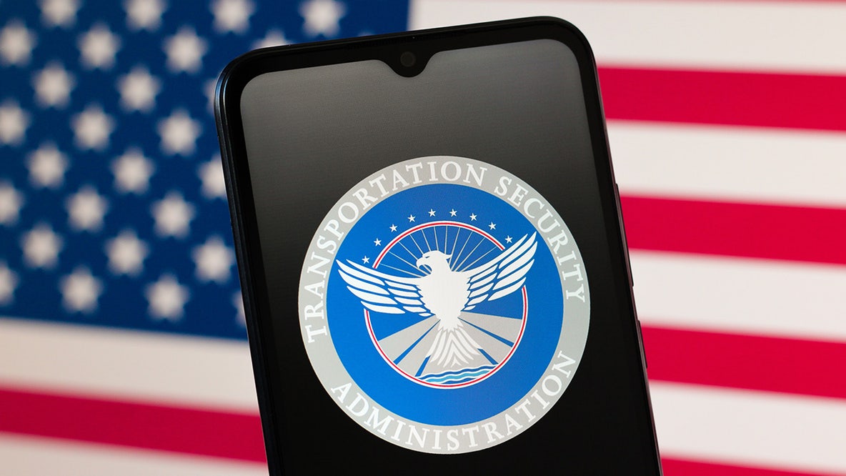 White House taps government contractor to lead TSA post-shutdown