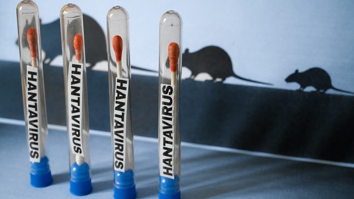 Hantavirus is 'not the next COVID,' experts say: What to know