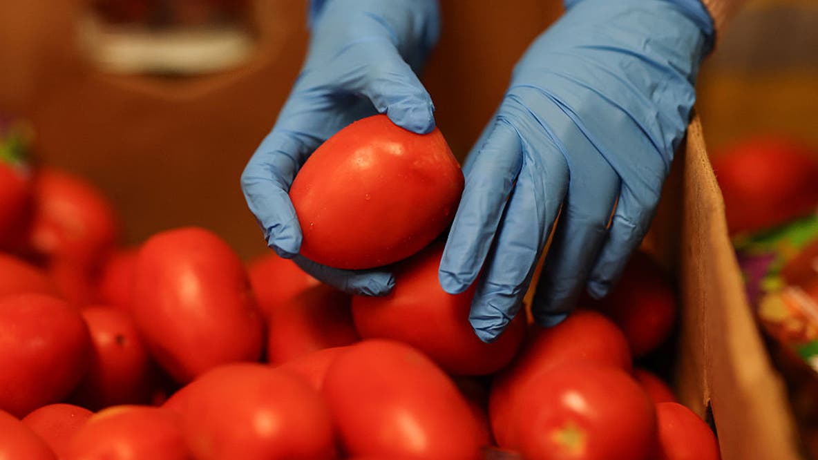 Tomato sticker shock: Here's how much prices have climbed