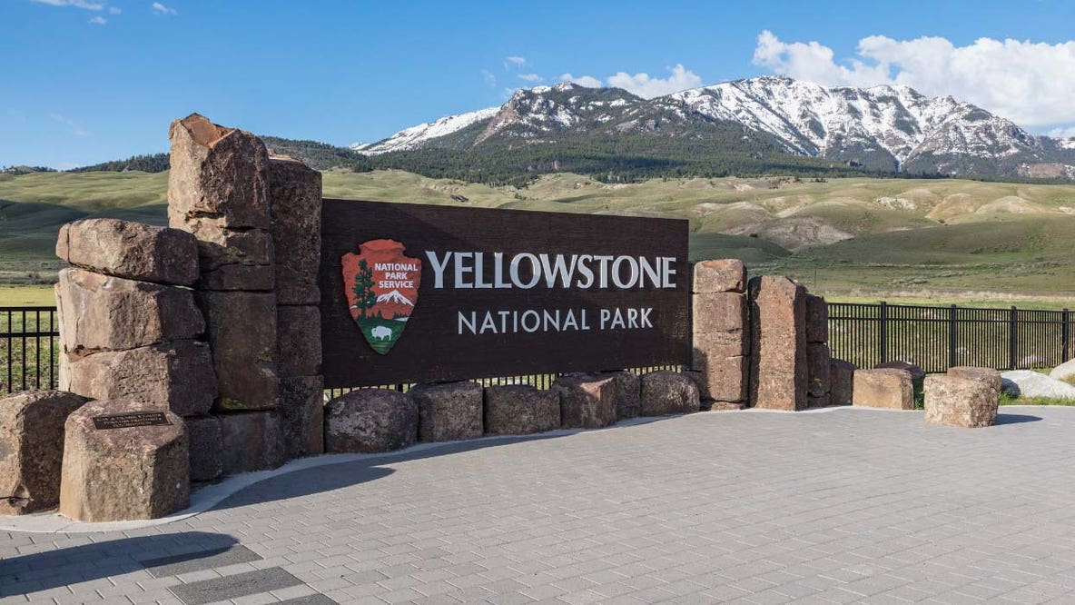 Bear attack at Yellowstone injures 2 hikers