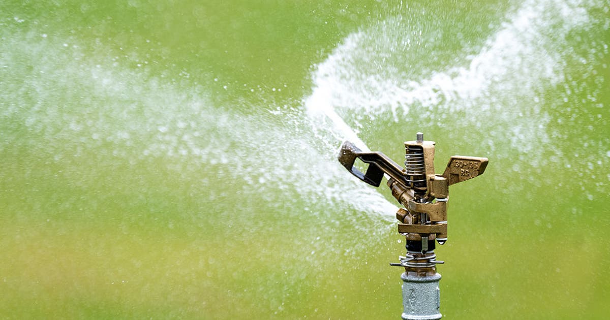 Lawn watering costs are highest in these cities — see the list