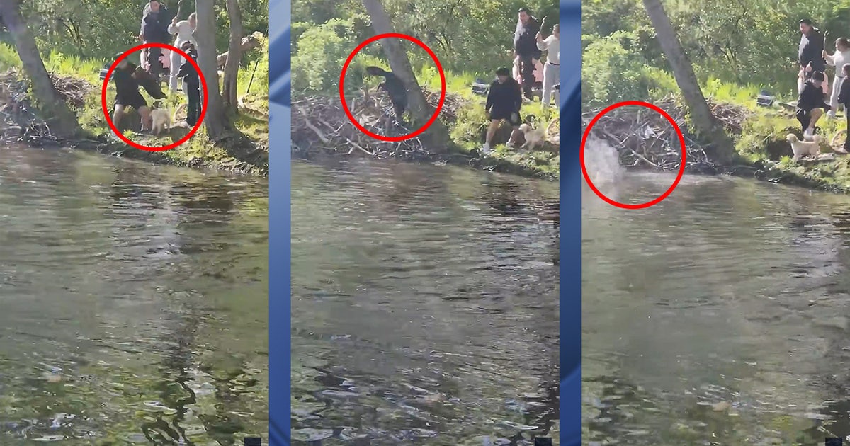 Watch: Child attacked by rabid beaver while fishing at New Jersey lake