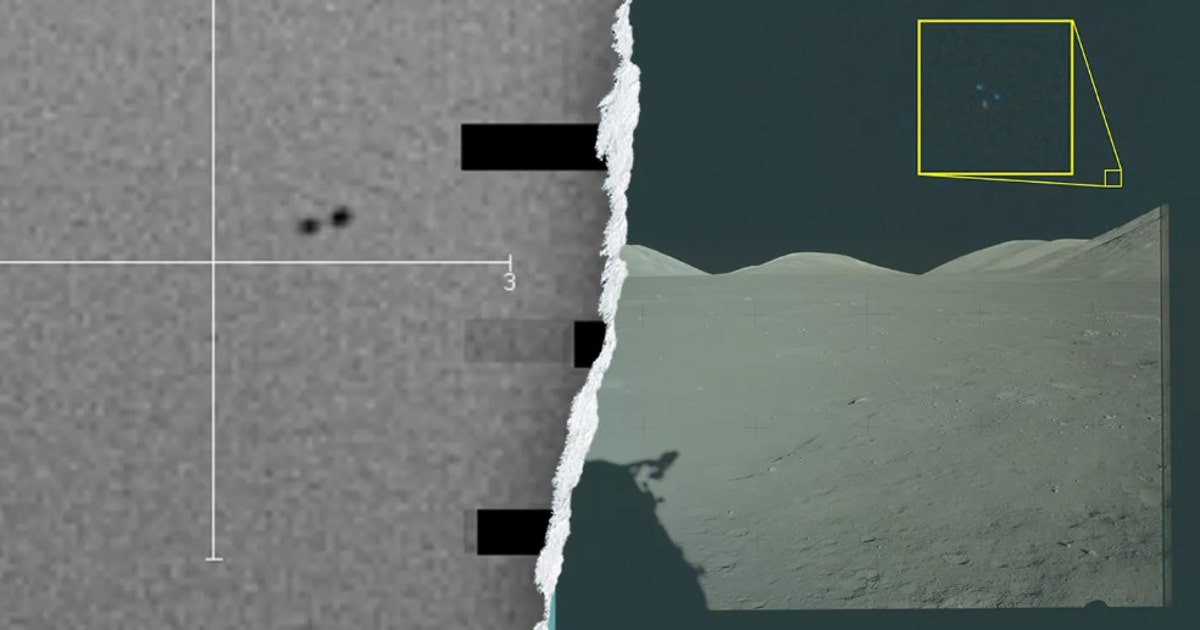 UFO insider claims US has bodies of 4 different alien species from downed spacecraft in government custody