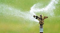 Lawn watering costs are highest in these cities — see the list