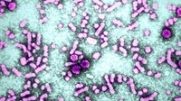 New hepatitis B drug may be a 'functional cure' for some people