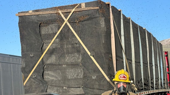 Utah firefighters help save millions of honeybees
