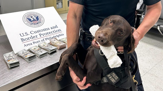 K9 alert leads to $44,000 cash seizure from Mexico-bound traveler in Philly