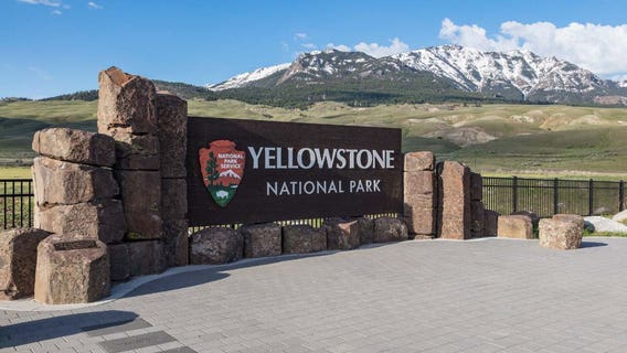 Bear attack at Yellowstone injures 2 hikers