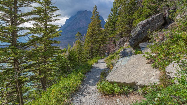 Glacier National Park hiker found dead after suspected bear attack