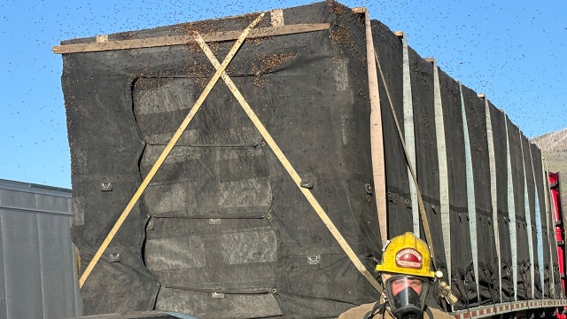 Utah firefighters help save millions of honeybees