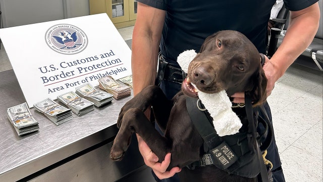 K9 alert leads to $44,000 cash seizure from Mexico-bound traveler in Philly