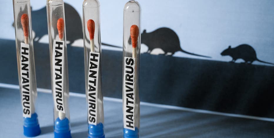 Hantavirus is 'not the next COVID,' experts say: What to know