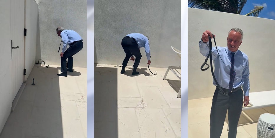 Watch: RFK Jr. wrangles snakes on Dr. Oz's patio
