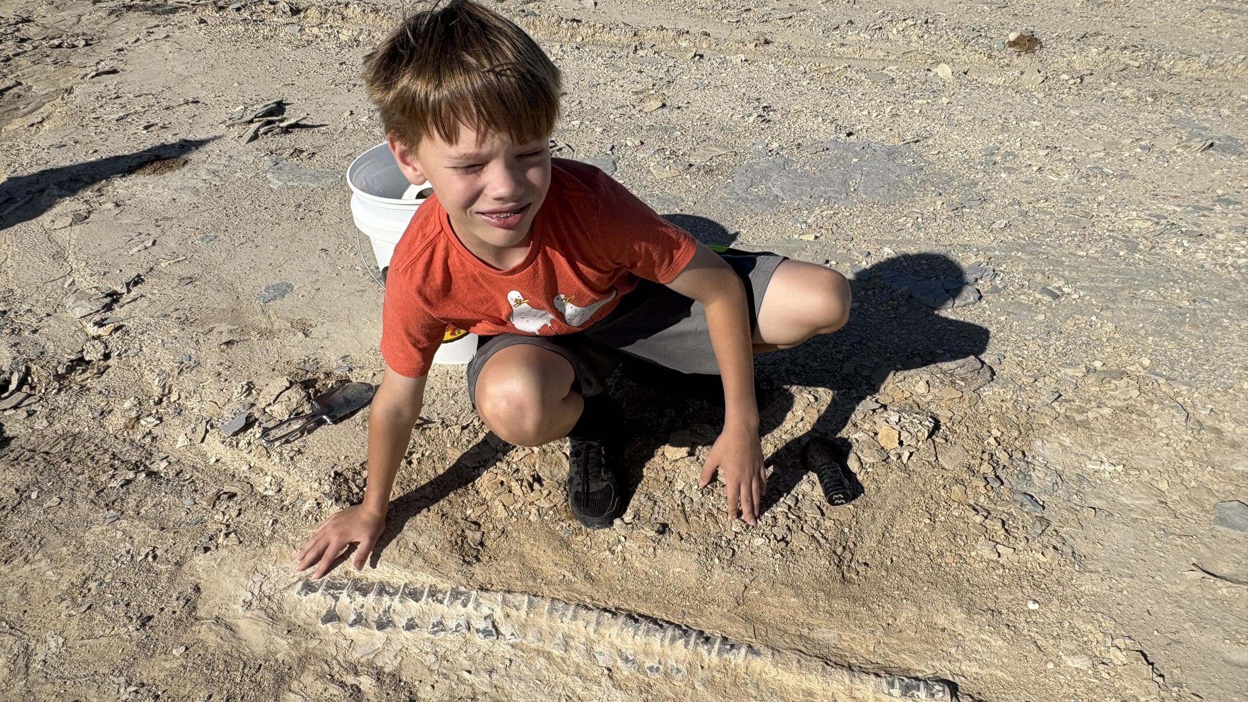 Sixth-grader finds 85-million-year-old fossil on club field trip