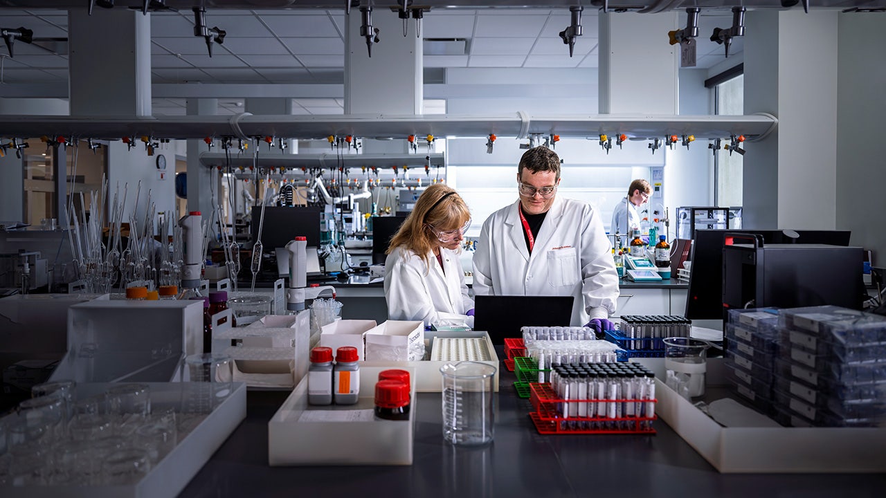Cure for certain cancers is ‘realistic’ goal in next decade, pharma lead says