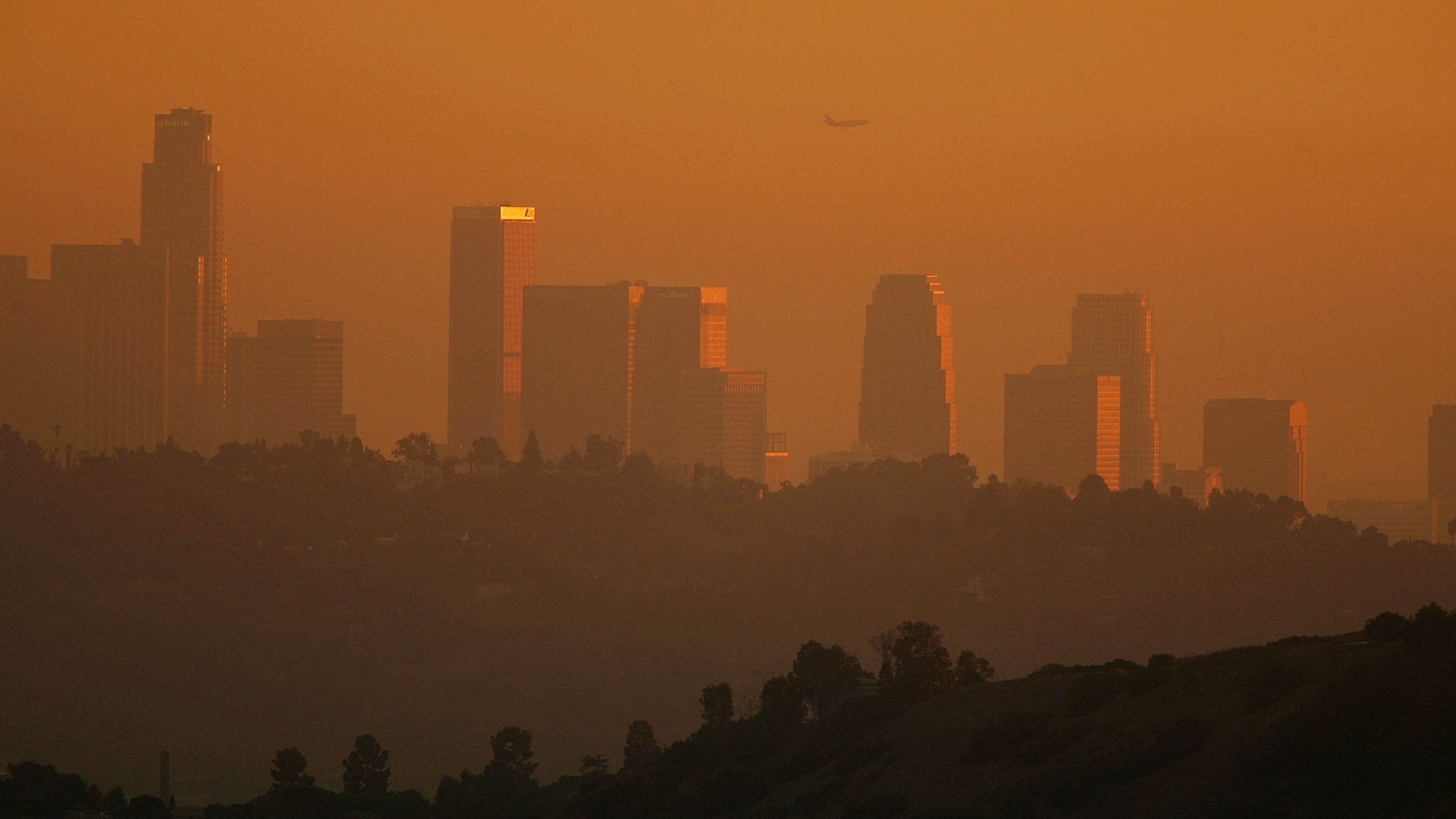 Wildfires are reversing years of progress on US ozone pollution, study finds