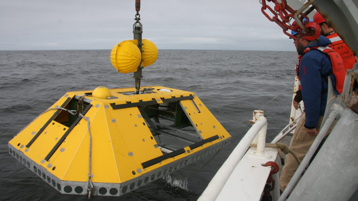 Ocean Observatories Initiative dismantled by Trump administration: What to know