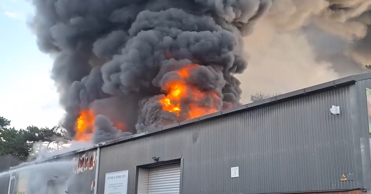 Um incêndio destruiu o minizoológico, matando todos os animais dentro