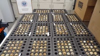 Fowl play: Hundreds of live eggs smuggled as winter coats seized