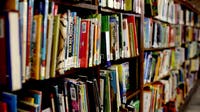Massachusetts House passes bill protecting libraries from book bans