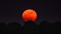 ‘Strawberry Moon’: Here’s when to look up to see June’s full moon