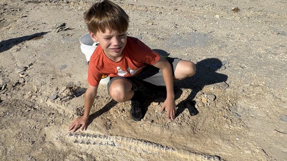 Sixth-grader finds 85-million-year-old fossil on club field trip