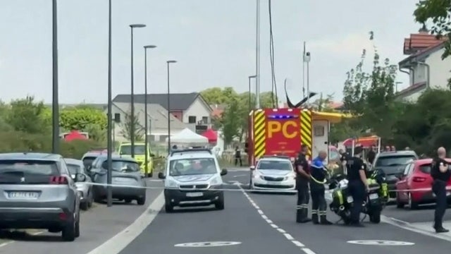 Skydiving plane crashes in France, killing all 11 people on board