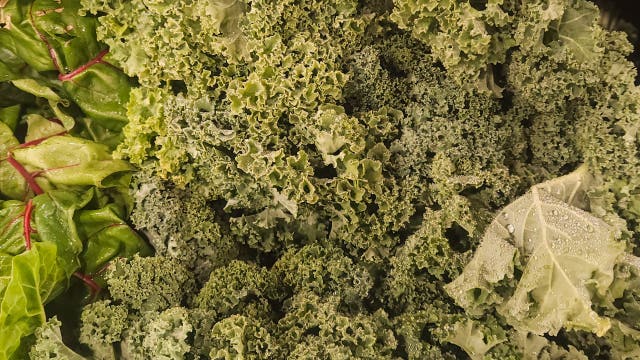 These leafy greens could help protect your lungs, study suggests