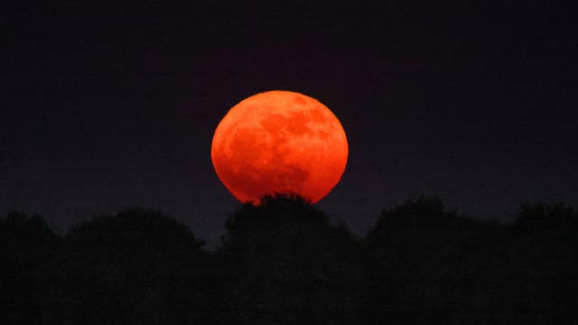 ‘Strawberry Moon’: Here’s when to look up to see June’s full moon
