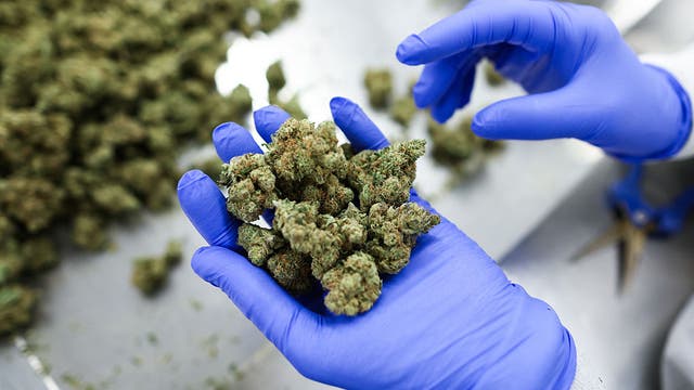 TSA updates medical marijuana travel guidance for air passengers