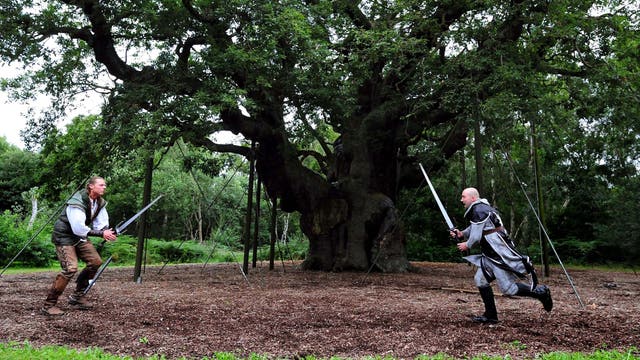 1,200-year-old 'Robin Hood' oak tree has died, experts say