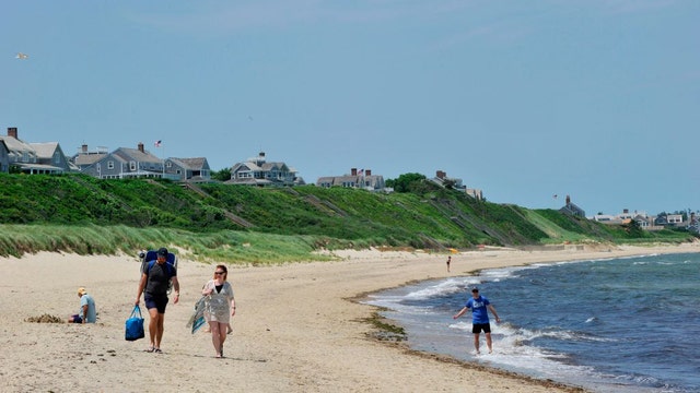 Popular summer destination ravaged by Lyme disease bets on radical new solution