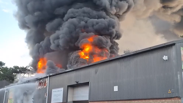 Fire destroys mini-zoo, killing all animals inside