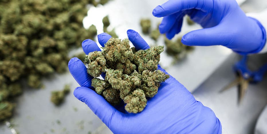 TSA updates medical marijuana travel guidance for air passengers