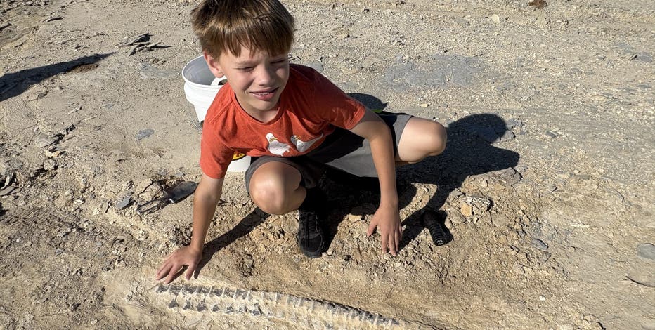 Sixth-grader finds 85-million-year-old fossil on club field trip