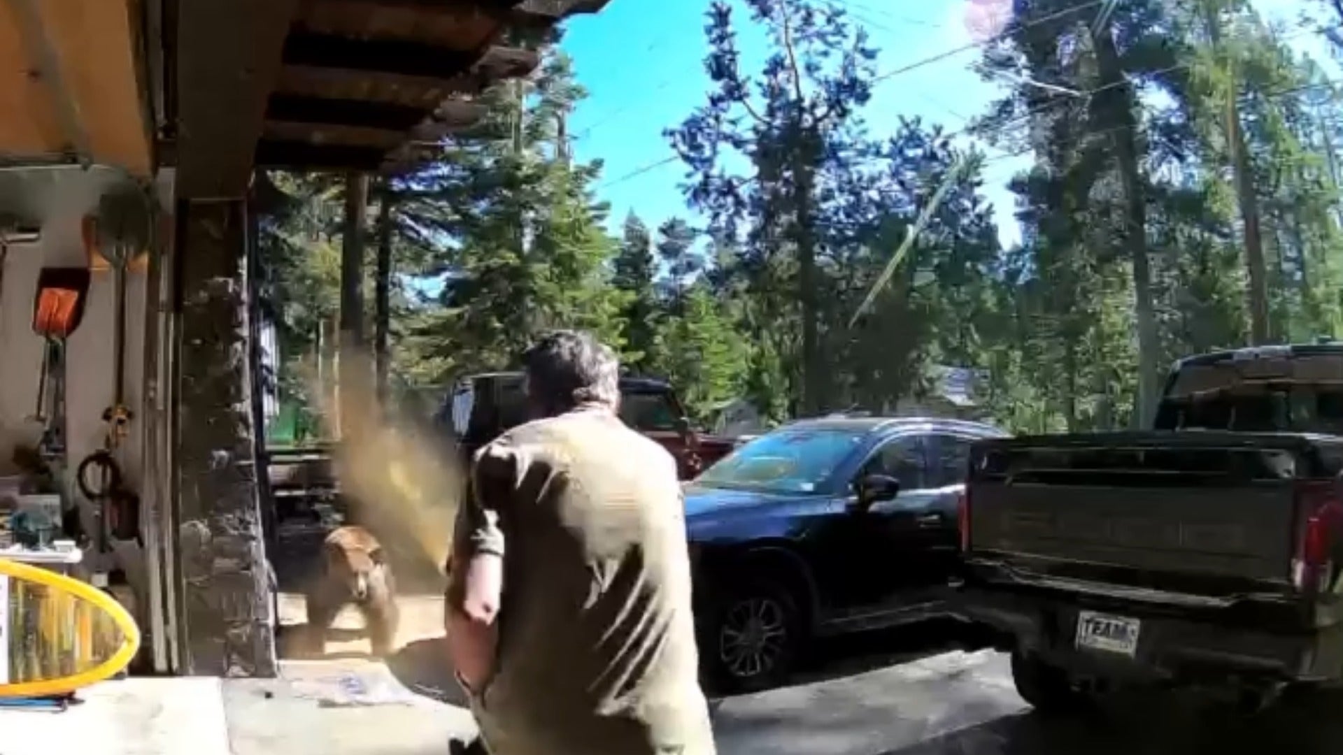 Watch: Lake Tahoe man sprays repellent at charging bear outside his cabin
