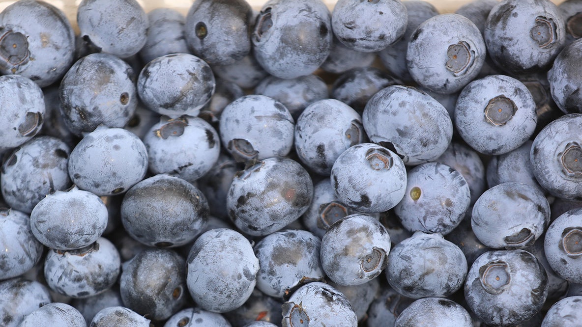 Frozen blueberries sold at Publix recalled after 12 E. coli cases