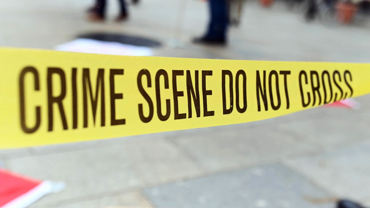 Mom charged with murder of twins after claiming they died from vaccinations