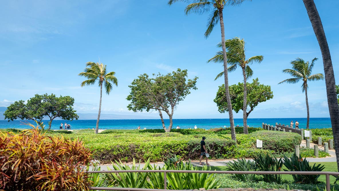 California family members claim they were attacked at luxury Maui resort during violent melee