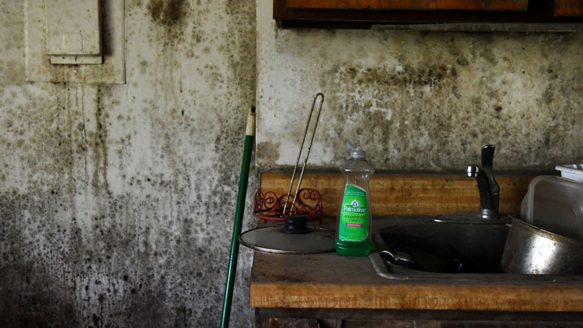 CDC study warns threat of deadly mold infections may be underestimated