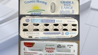 FDA assigns highest-risk status to 1.5 million egg recalled over salmonella risk