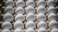 1.5 million eggs sold at Kroger, Brookshire and smaller stores recalled