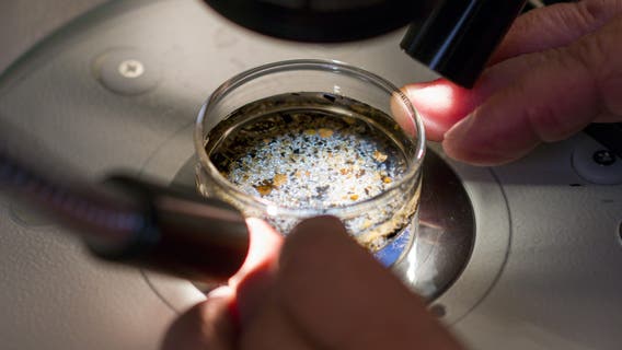 Microplastics detected in most heart attack patients' blood in startling new study