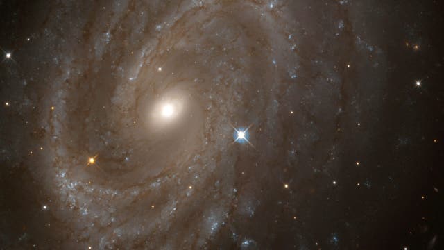 Astronomers discover sugar in space, offering hints to life’s origins