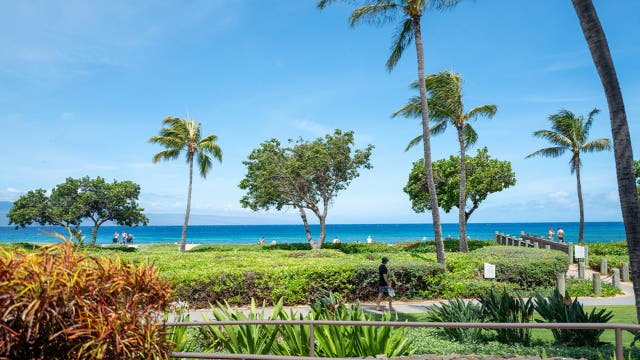 California family members claim they were attacked at luxury Maui resort during violent melee