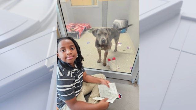 Boy, 11, spends 100 hours reading to shelter animals at Jacksonville Humane Society