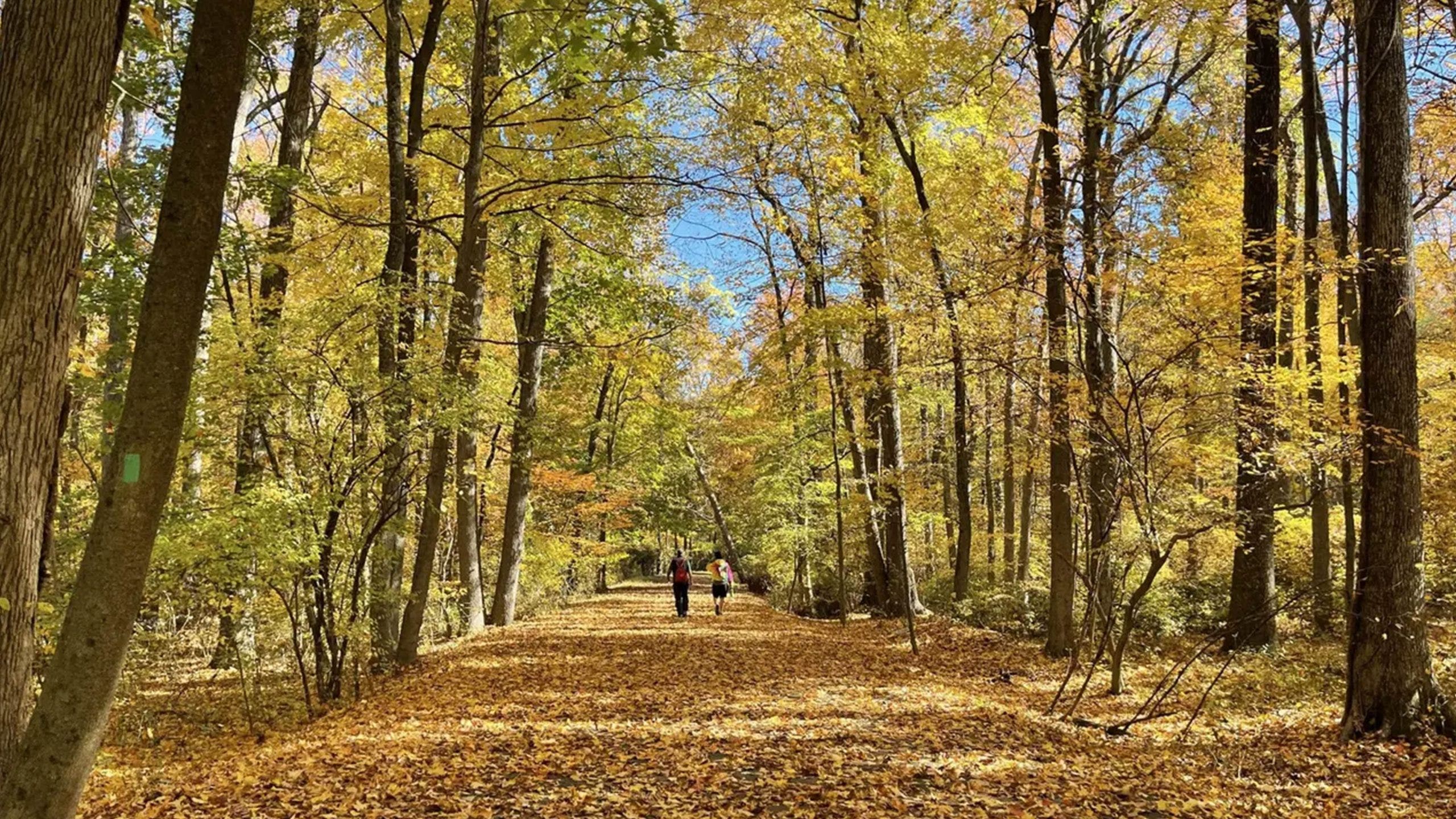 Tired of the heat? Here's when Old Farmer's Almanac says cooler weather will arrive