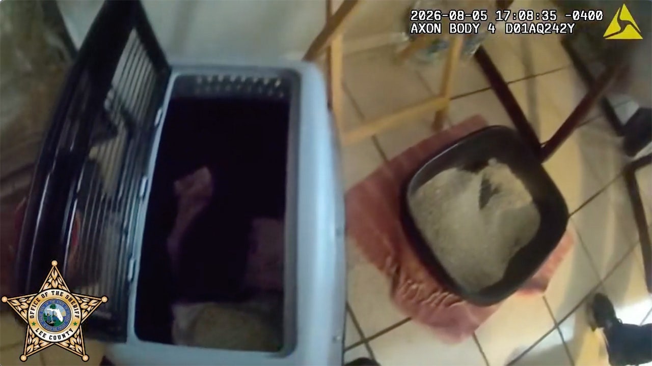 Florida man allegedly abused kittens in front of daughter to punish her