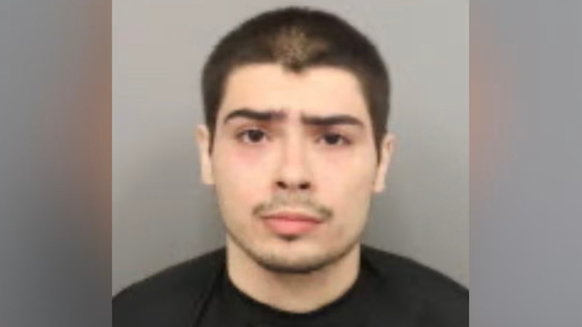 Armed suspect with machete, pickaxe detained by customers during Costco jewelry heist: reports